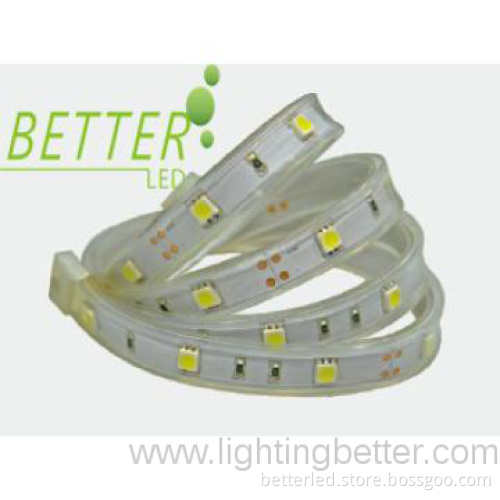 5050 full tube + silicon glue strip 30leds/m DC24V (IP68)